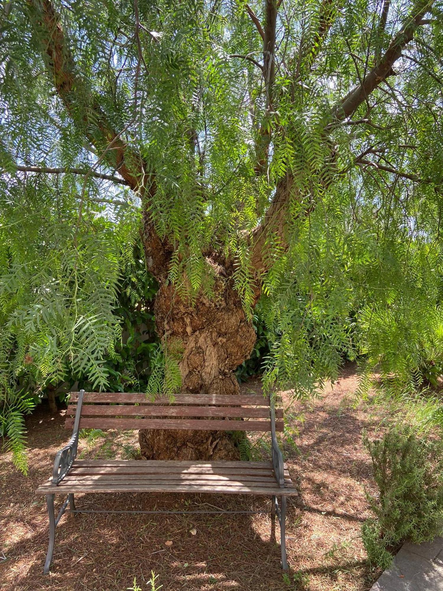 Casa Salento Διαμέρισμα Specchia Εξωτερικό φωτογραφία
